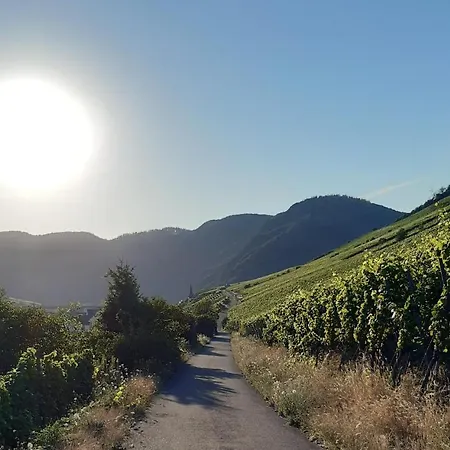 Haus Moselliebe Bed & Breakfast