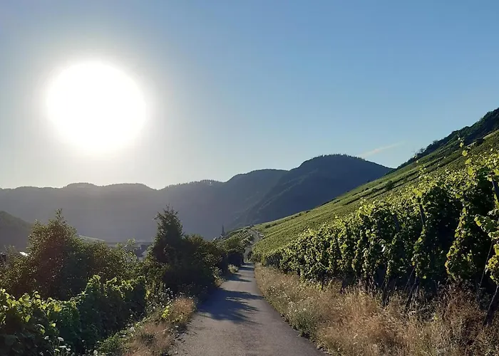 Haus Moselliebe Отель типа 